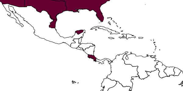 map of Ceratophygadeuon politus     Townes, 1983